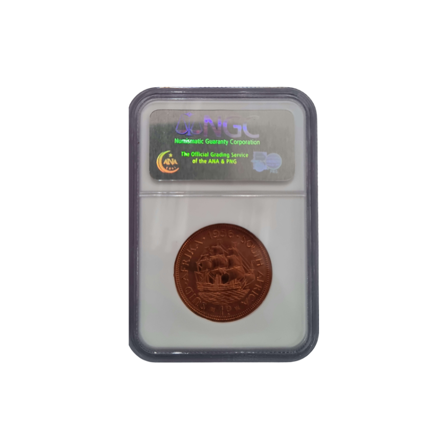 1956 South Africa Penny PF 67 RD - Top Pop - Image 2