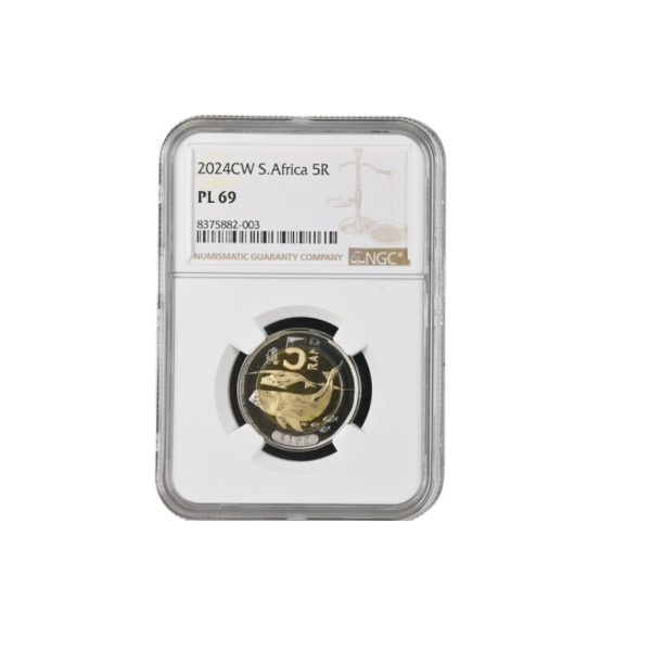 2024CW South Africa 5R (PL 69) - Top Pop