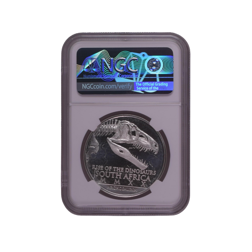 2020 South Africa S25R Archosauria-Coelophysis MS 70 - Top Pop - Image 2