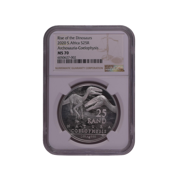 2020 South Africa S25R Archosauria-Coelophysis MS 70 - Top Pop