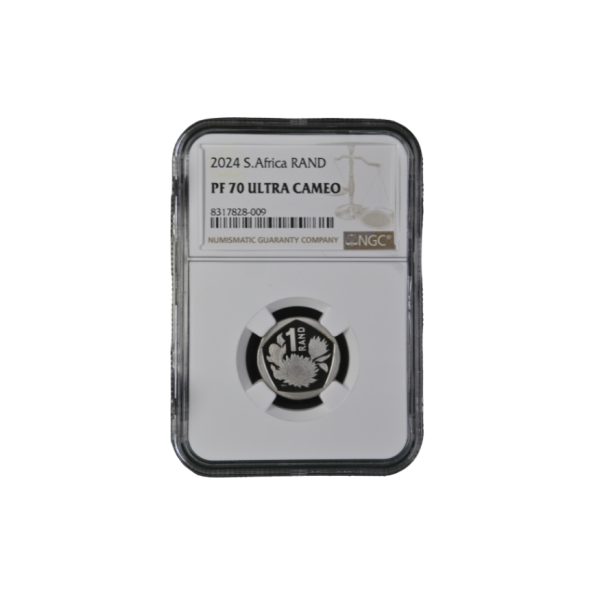 2024 South Africa 1R PF70 Ultra Cameo - Top Pop