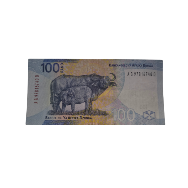 South African Reserve Bank One Hundred Rand 2024 S/N: AB97816740D Hern: 917/22