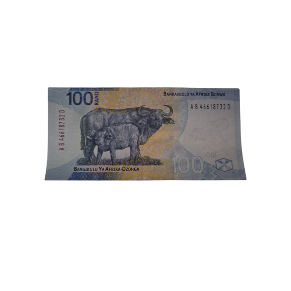South African Reserve Bank One Hundred Rand 2024 S/N: AB46618732D Hern: 917/22