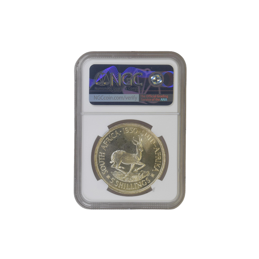 1950 South Africa 5 Shilling (PL 66) - Image 2