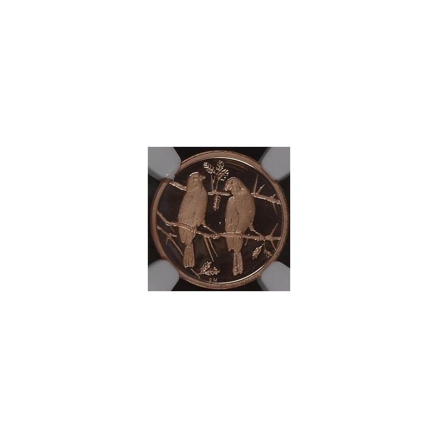 2002 South Africa Steel Cent Medal Commemorative Copper Plated PF 69 RD Ultra Cameo NGC. Finest Known - Image 3
