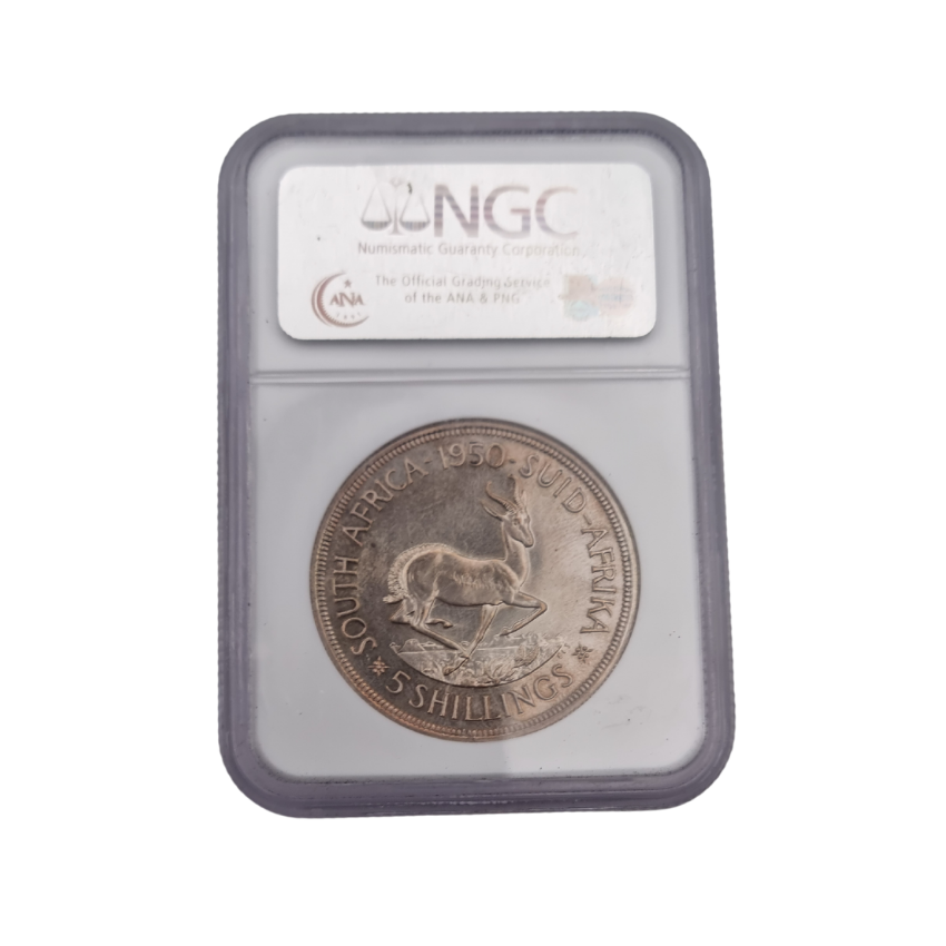 1950 South Africa 5 Shillings PF 64 - Image 2